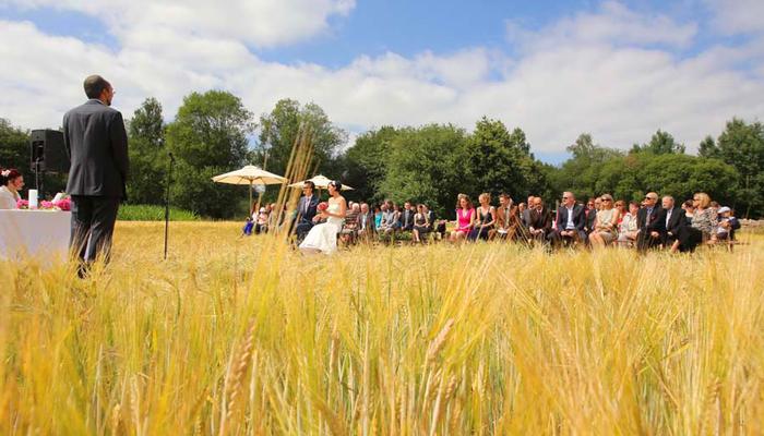 Freie Trauung im Kornfeld bei Münster und Osnabrück